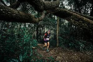 BIB: 
                            <button type="button" onclick="openModal(25705333)" class="btn btn-primary btn-sm float-right btn-popup" data-toggle="modal" data-target=".modal-high-quality">
                        <i class="fas fa-shopping-cart"></i> Add to Cart
                    </button>
                                            <button type="button" onclick="isThisMe(25705333, true)" class="btn btn-success btn-sm float-right btn-popup btn-isme hidden" data-toggle="tooltip" data-placement="bottom" title="นี่คือรูปของคุณใช่ไหม คลิกที่นี่เพื่อเอาเข้าอัลบั้ม">
                        <i class="fas fa-plus"></i> Add to album
                    </button>
                    <button type="button" onclick="isThisMe(25705333, false)" class="btn btn-warning btn-sm float-right btn-popup btn-isnotme hidden">
                        <i class="fas fa-ban"></i> Remove from album
                    </button>